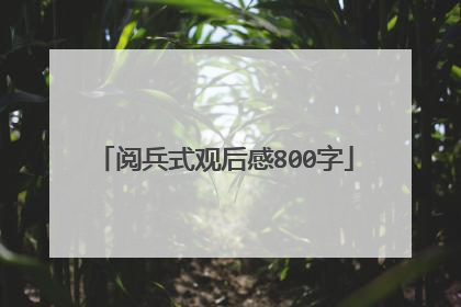 阅兵式观后感800字