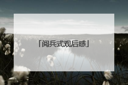 阅兵式观后感