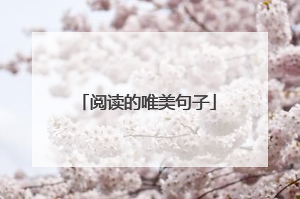 阅读的唯美句子