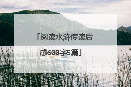 阅读水浒传读后感600字5篇