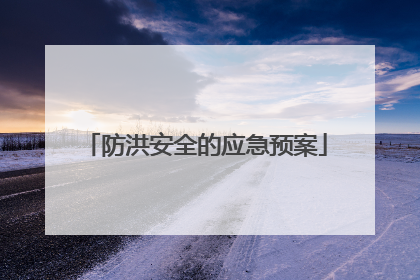 防洪安全的应急预案