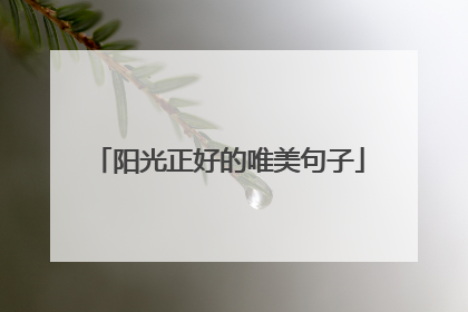 阳光正好的唯美句子