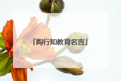 陶行知教育名言