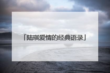 陆琪爱情的经典语录