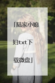 陆家小媳妇txt下载微盘