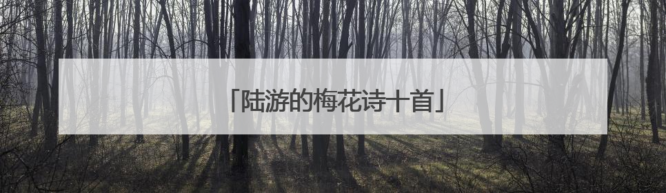陆游的梅花诗十首