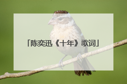 陈奕迅《十年》歌词