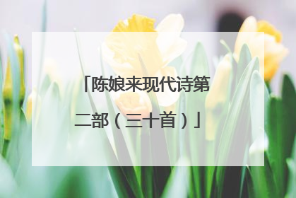 陈娘来现代诗第二部（三十首）