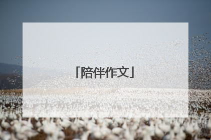 陪伴作文