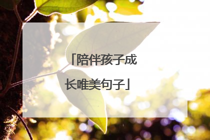 陪伴孩子成长唯美句子