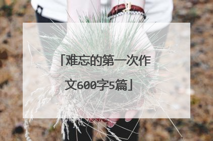 难忘的第一次作文600字5篇