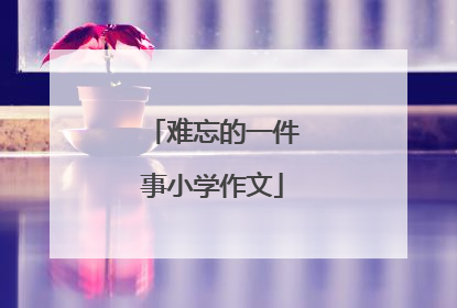 难忘的一件事小学作文