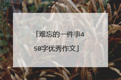 难忘的一件事450字优秀作文