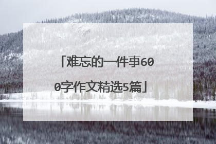 难忘的一件事600字作文精选5篇