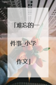 难忘的一件事_小学作文