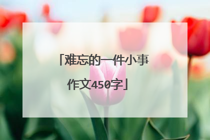 难忘的一件小事作文450字