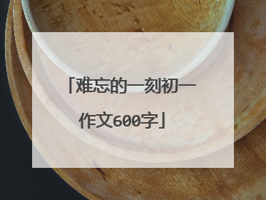 难忘的一刻初一作文600字