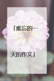 难忘的一天的作文