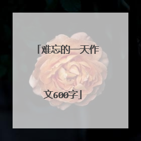 难忘的一天作文600字