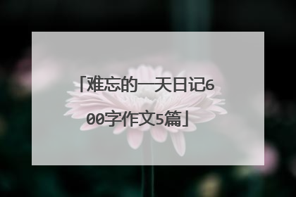 难忘的一天日记600字作文5篇