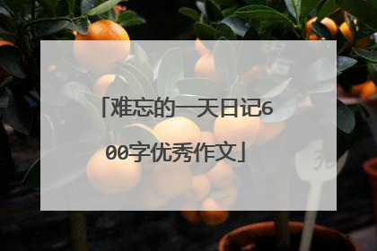 难忘的一天日记600字优秀作文