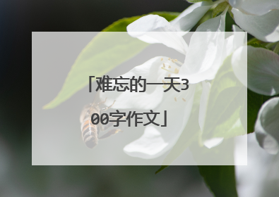 难忘的一天300字作文