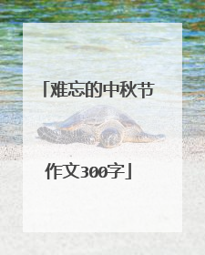 难忘的中秋节作文300字