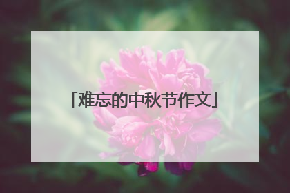 难忘的中秋节作文