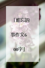 难忘的事作文600字