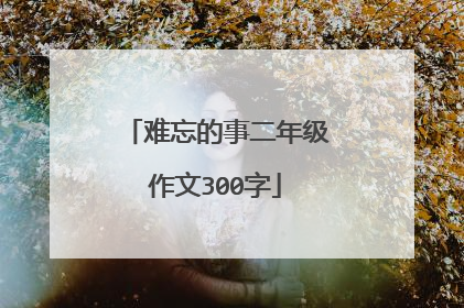 难忘的事二年级作文300字