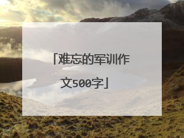 难忘的军训作文500字