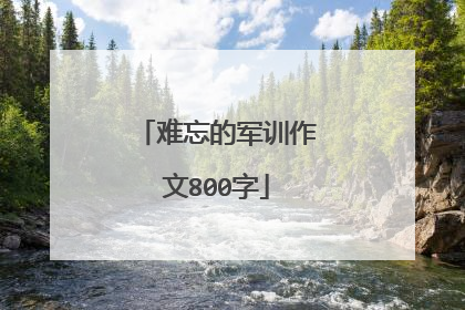 难忘的军训作文800字