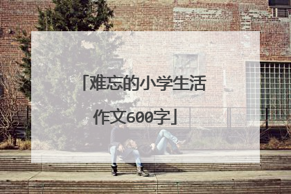 难忘的小学生活作文600字