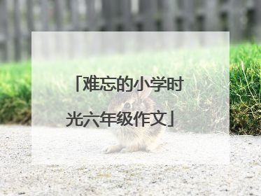 难忘的小学时光六年级作文