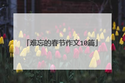 难忘的春节作文10篇