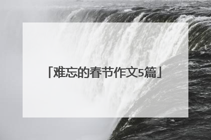 难忘的春节作文5篇
