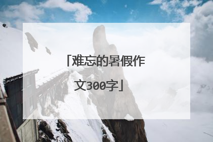 难忘的暑假作文300字
