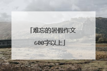 难忘的暑假作文600字以上
