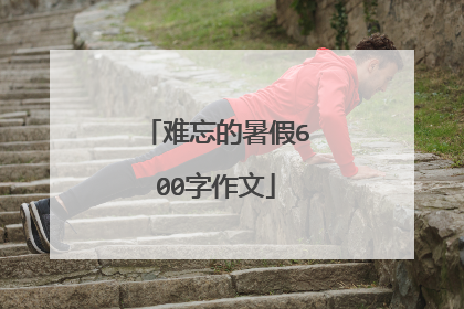 难忘的暑假600字作文