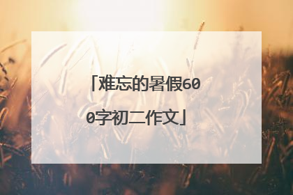 难忘的暑假600字初二作文