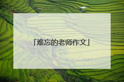 难忘的老师作文