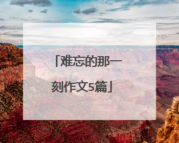 难忘的那一刻作文5篇