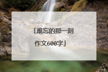 难忘的那一刻作文600字