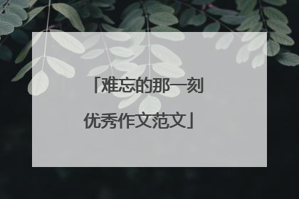 难忘的那一刻优秀作文范文