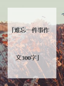 难忘一件事作文300字