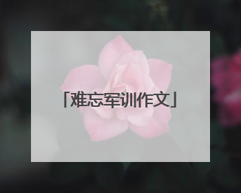 难忘军训作文