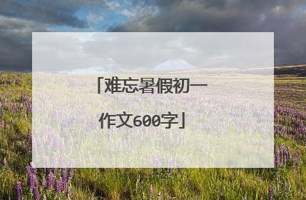 难忘暑假初一作文600字