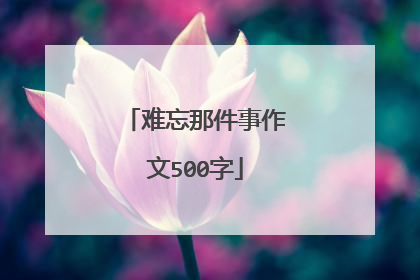 难忘那件事作文500字