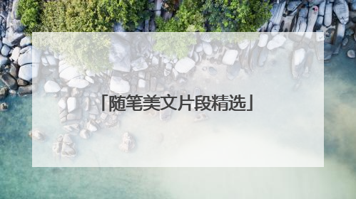 随笔美文片段精选