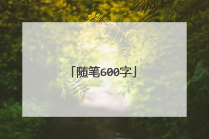 随笔600字